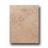 United States Ceramic Tile Tuscany 10 X 13 Desert Tile & Stone