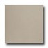United States Ceramic Tile Color Collection 12 X 12 Solid Beige