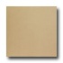 United States Ceramic Tile Color Collection 12 X 12 Solid Tan Ti