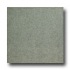 United States Ceramic Tile Color Collection 12 X 12 Speckle Gree