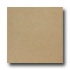 United States Ceramic Tile Color Collection 12 X 12 Speckle Tan