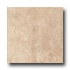 Incepa Siena 13 X 13 Nocce Tile & Stone