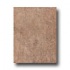 Incepa Siena 10 X 13 Marrone Tile & Stone