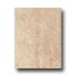 Incepa Siena 10 X 13 Nocce Tile & Stone
