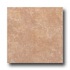 Incepa Venezia 18 X 18 Sepia Tile  and  Stone