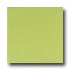 Daltile Festiva 3 X 6 Green Apple Tile & Stone