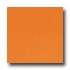 Daltile Festiva 6 X 6 Marmalade Tile & Stone