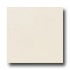 Daltile Modern Dimensions 2 1/8 X 8 1/2 Biscuit Matte Tile & Sto