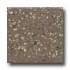 Daltile Keystones Unglazed Mosaic 2 X 2 Artisan Brown Speckle Ti