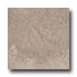 Rock & Rock Montana 13 X 13 Beige Tile & Stone