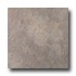 Rock & Rock Montana 13 X 13 Gris Tile & Stone