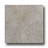 Rock & Rock Shellstone 21 X 21 Gris Tile & Stone