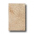 Rock & Rock Shellstone 13 X 21 Beige Tile & Stone