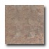Rock & Rock Natural 21 X 21 Bambu Tile & Stone