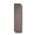 Rock & Rock Packstone 12 X 48 Bambu Tile & Stone
