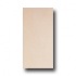Rock & Rock Packstone 24 X 48 Arena Tile & Stone