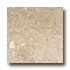 Daltile Limestone 12 X 12 Honed Napolina Tile & Stone