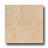 Rock & Rock Sandstone 24 X 24 Arena Tile & Stone