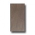 Roca Avila 12 X 24 Alga Tile & Stone