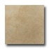 Roca Gotica 18 X 18 Beige Tile  and  Stone