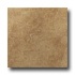 Roca Gotica 18 X 18 Marron Tile  and  Stone