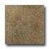 Roca Gotica 6 X 6 Alga Tile & Stone