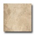 Ragno Borgoforte 12 X 12 Cassino Beige Tile & Stone