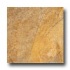 Ragno Burgundy 20 X 20 Gold Tile & Stone