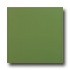 Roca Rainbow 12 X 12 Verde Tile & Stone