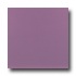 Roca Rainbow 12 X 12 Violeta Tile & Stone