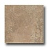 Ragno Petra 20 X 20 Auratus Tile & Stone