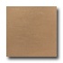 Roca Stratos Orion 24 X 24 Beige Tile & Stone
