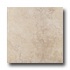 Roca Vernon 12 X 12 Gris Tile & Stone