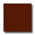 Daltile Natural Hues 2 X 2 Chocolate Tile & Stone