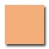 Daltile Natural Hues 2 X 2 Melon Tile  and  Stone