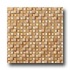 Marazzi Crystal Stone 12 X 12 Honey Tile & Stone