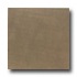 Daltile Vibe 12 X 12 Light Polished Techno Bronze Tile & Stone