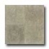 Daltile Limestone 18 X 18 Honed Caspian Shellstone Tile & Stone