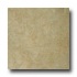 Tarkett Fiber Floors Proline - California California 33031 Vinyl