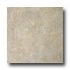 Tarkett Fiber Floors Proline - California California 33032 Vinyl