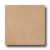 Marazzi Sahara Natural Rectified 24 X 24 Giallo Tile & Stone
