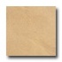 Marazzi Tosal 20 X 20 Gold Tile & Stone