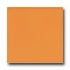 American Olean Bright 4 X 4 Mandarin Orange Tile  and