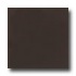 American Olean Bright 6 X 6 French Roast Tile & Stone