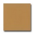 American Olean Bright 6 X 6 Autumn Leaves Tile & Stone