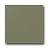 American Olean Bright 6 X 6 Artichoke Tile & Stone