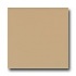 American Olean Bright 6 X 6 Cappuccino Tile & Stone