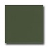 American Olean Bright 6 X 6 Dill Pickle Tile & Stone