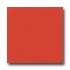American Olean Bright 6 X 6 Watermelon Sorbert Til