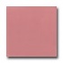 American Olean Bright 6 X 6 Antique Rose Tile & Stone